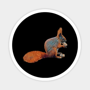 Squirrel - Woodland Themed Kids Room, Funny Gifts For Forester, Cute Animals Magnet